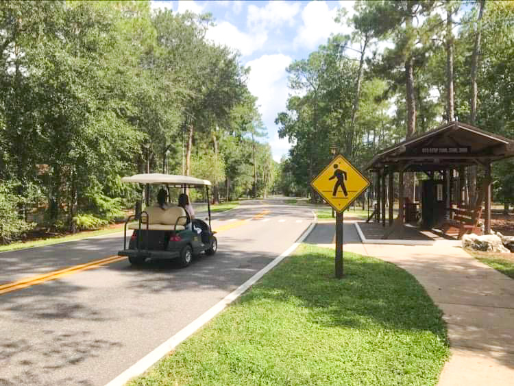 guests driving around in a golf cart at fort wilderness