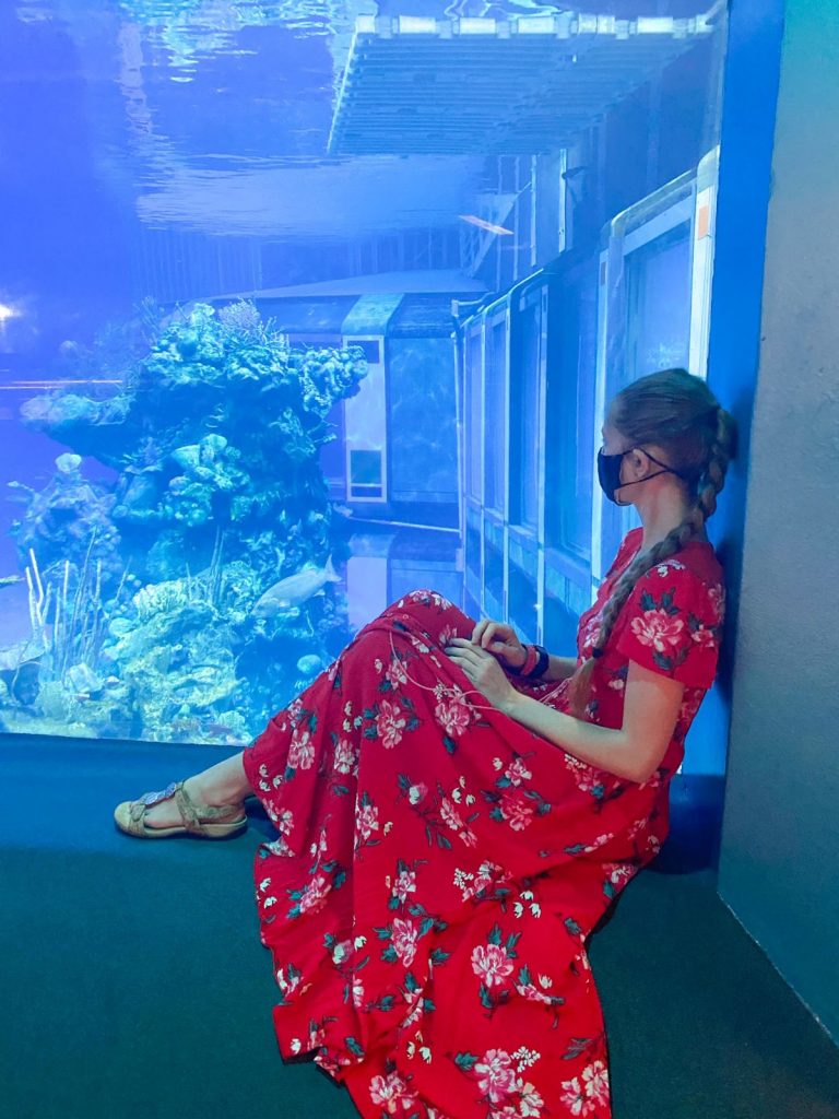 woman sitting in front of the large aquarium in the seas with nemo
