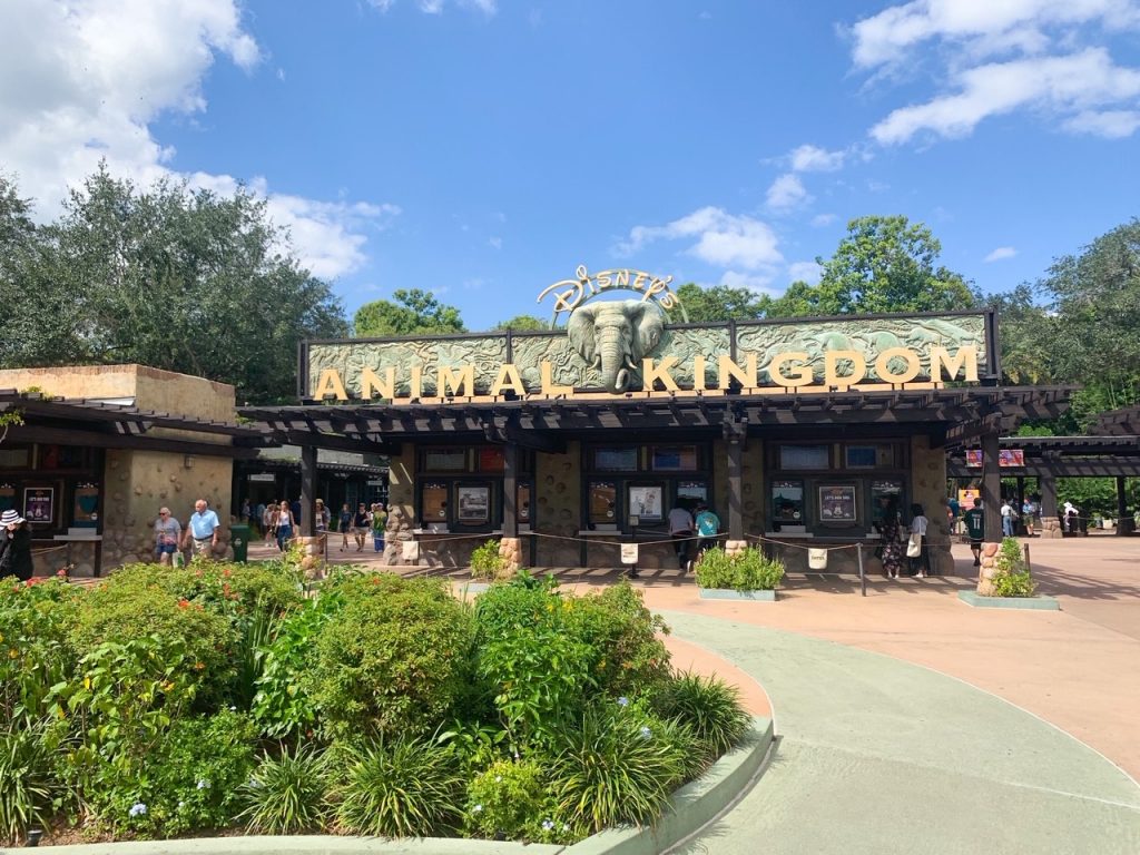 large sign for animal kingdom with elephant and plants in front 