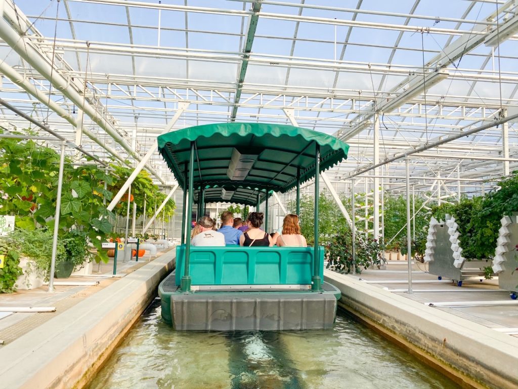 inside the greenhouse of living with the land ride