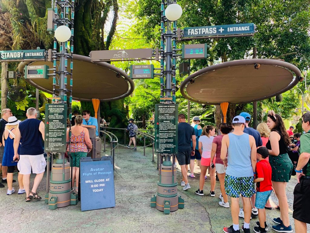 lines for avatar flight of passage