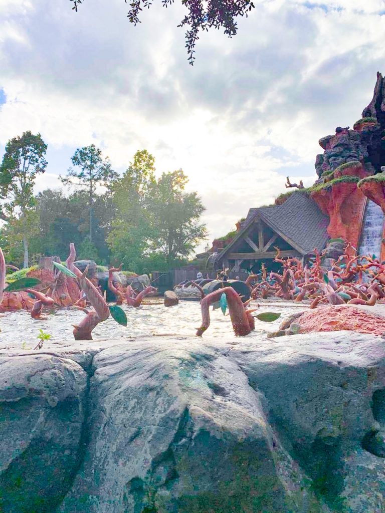 photo of thorns at bottom of splash mountain ride