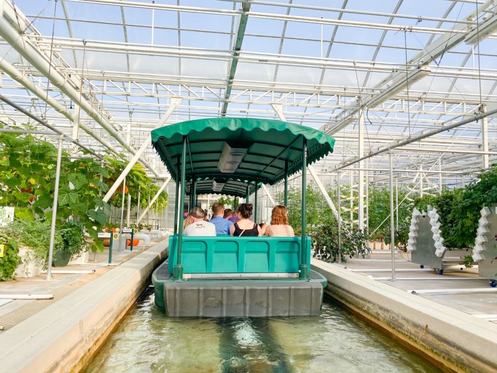 people riding through the greenhouse on living with the land