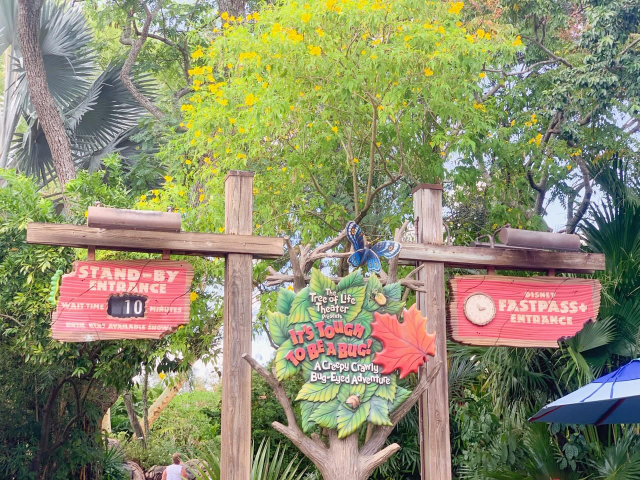 the sign at the entrance for its tough to be a bug one of the rides at disney with shorter lines