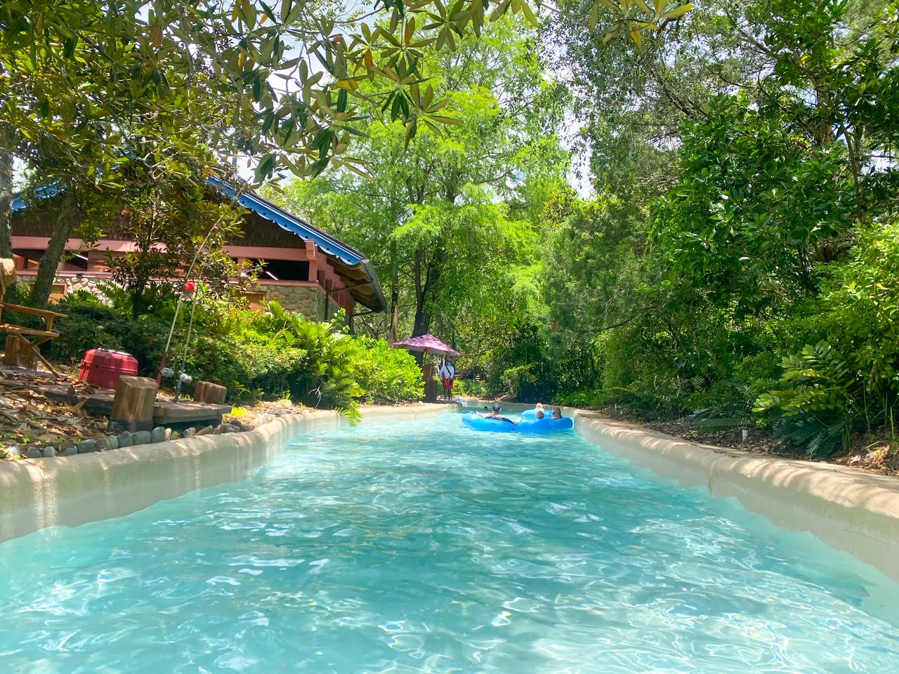 lazy river and trees