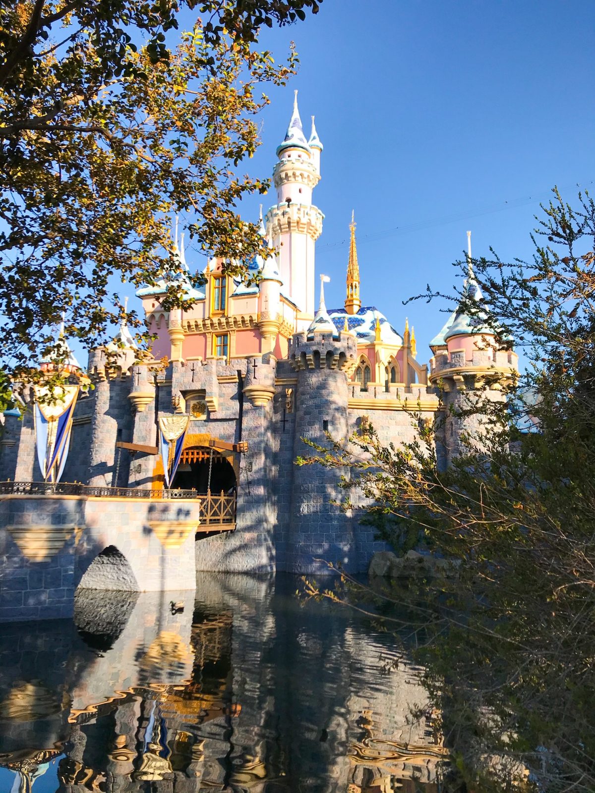 A shot of the castle as a thing to do at Disneyland