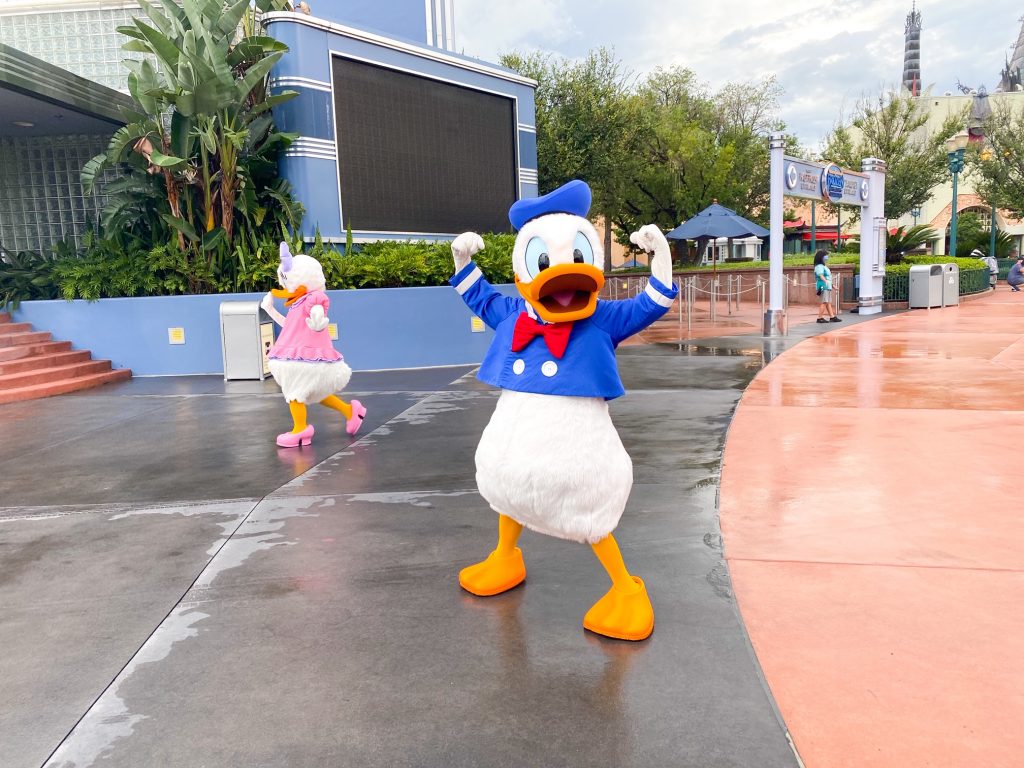 Donald in the rain at Disney