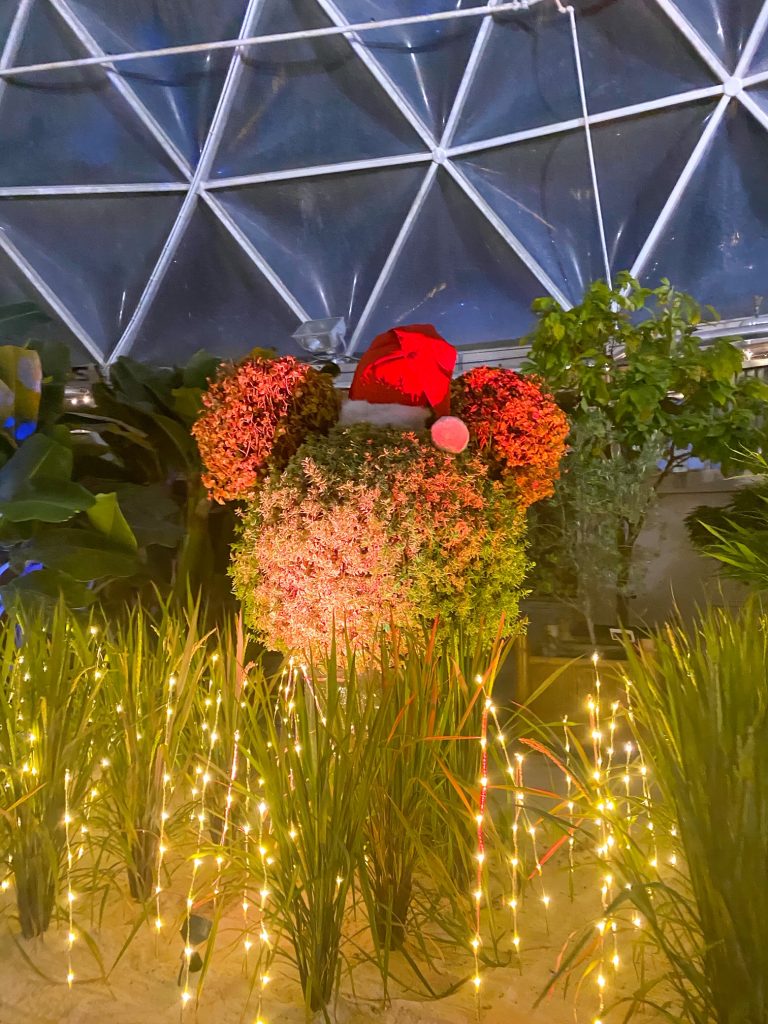 A festive Mickey topiary in the greenhouse.