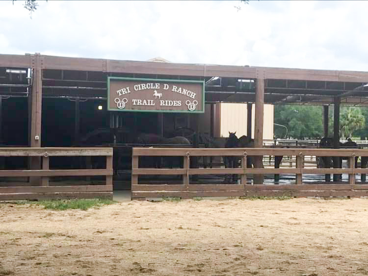 horses, ranch, and sign at tri circle d ranch disney rest day