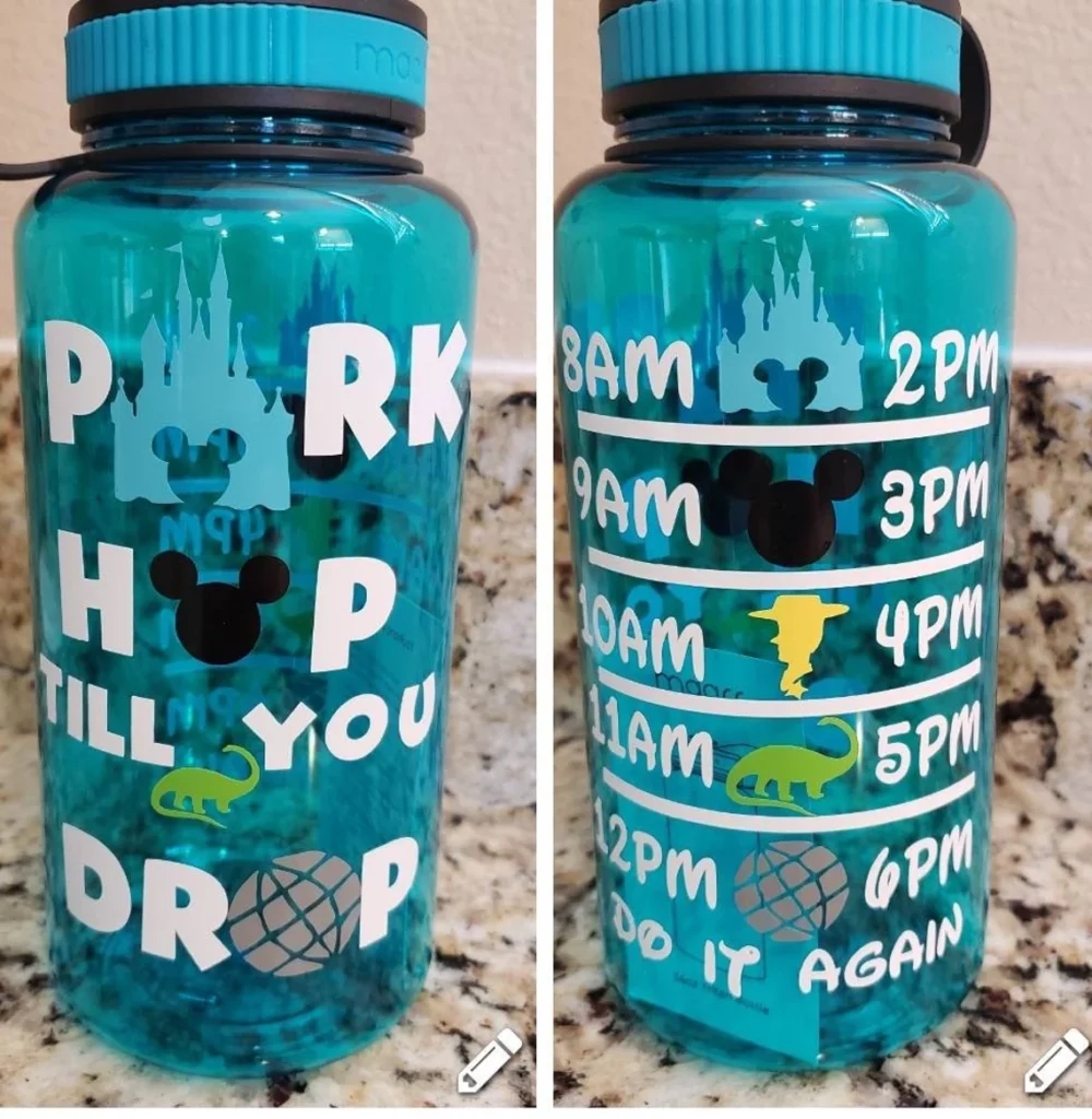 Disney Water bottles with Disney Park Hopper design. 