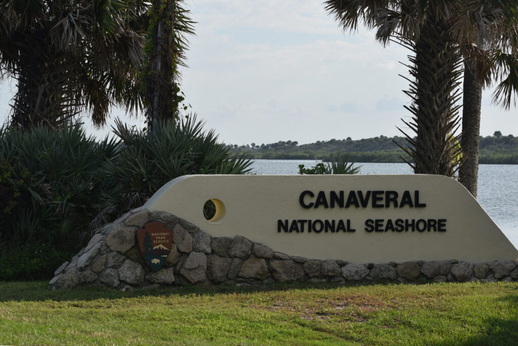 canaveral national seashore sign and palm trees beaches near disney