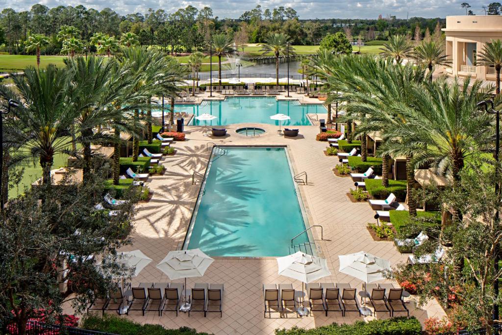 the beautiful pool of the Waldorf Astoria surrounded by palm trees.