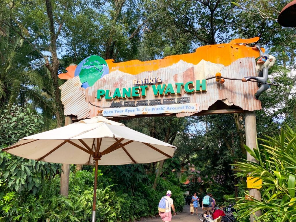 colorful sign and umbrella for rafikis planet watch best things to do in animal kingdom