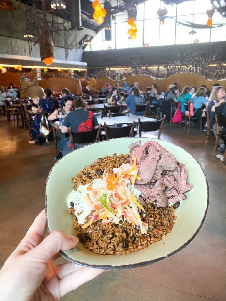 bowl with beef, rice, and slaw in restaurant best things to do in Animal Kingdom