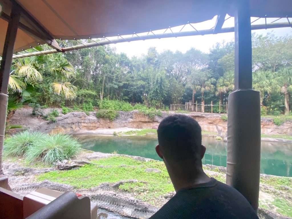 Guests look out over the plains while enjoying 18 minutes of guided tours on Kilimanjaro Safaris. This is one of the best rides in Orlando theme parks for families and a great way to relax! 