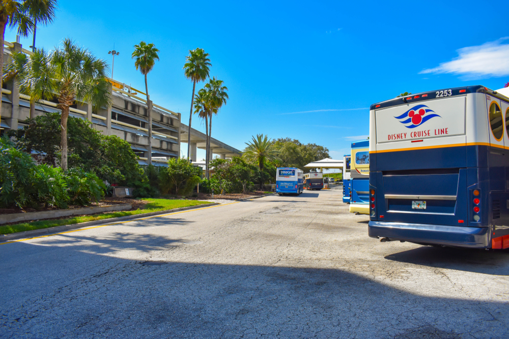 Buses that advertise the Disney Cruise Line line up at their pick up spots every 20 minutes, waiting to take guests to where they need to go. 