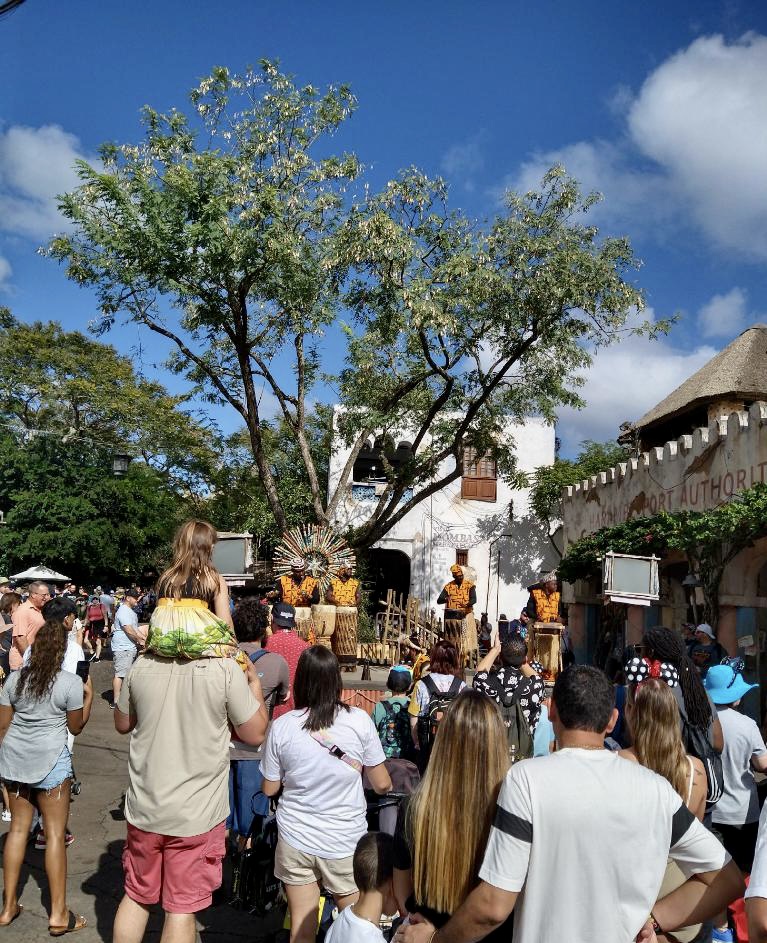 Guests gather around enjoying a show in the corners of the market: this is perfect for Animal Kingdom for adults too! 