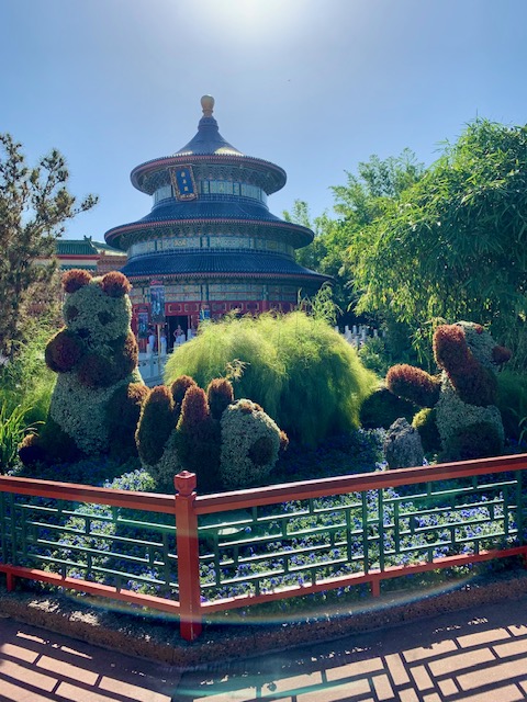 panda topiaries in front of blue and red pagoda building Epcot for adults
