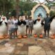 A family stands with the penguins of Madagascar during a meet and greet because they knew which mistakes to avoid in Universal Studios Orlando and were able to schedule in all attractions!