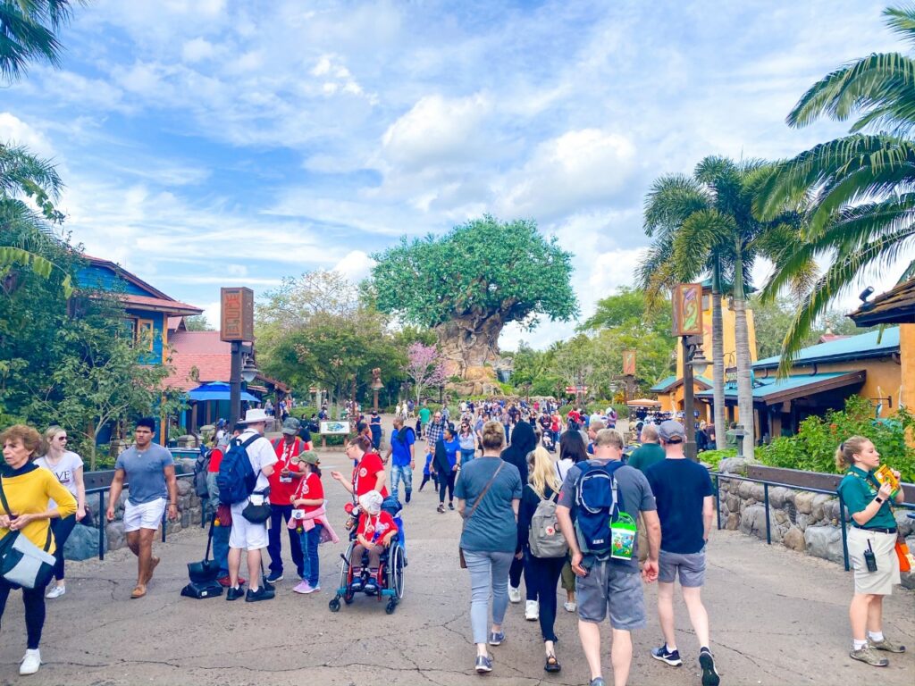 families and strollers in front of large tree at animal kingdom 