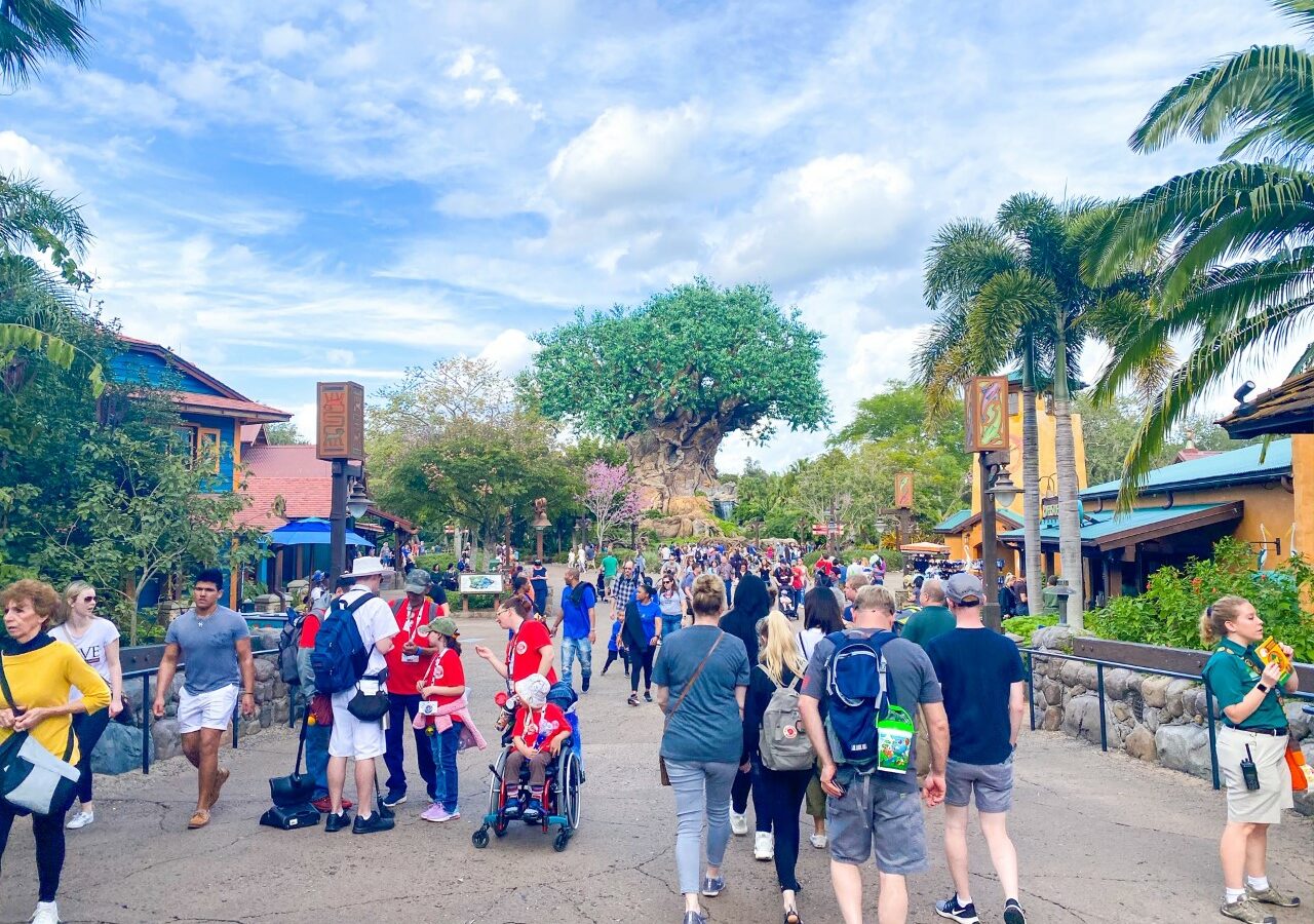 families and strollers in front of large tree at animal kingdom disney outfit ideas for mom