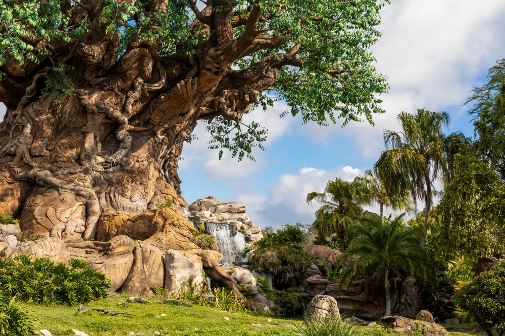 A close up of the tree of life in Animal Kindgom shows the sculptures in the bark and the trees and falls around it: knowing what Things People Forget When Packing for Disney World will prepare you for this park!  