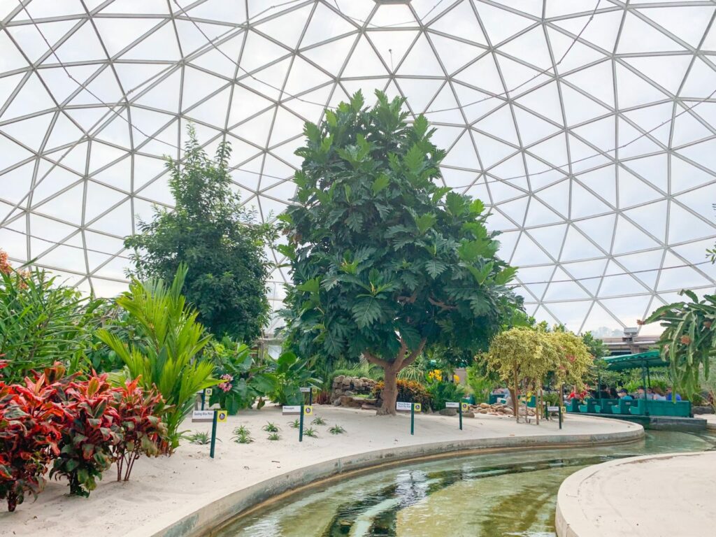 trees and plants inside of a white greenhouse with ride track 2 days at disney ride